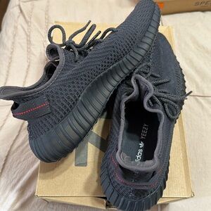 Yeezy Boost Earth Men’s 11